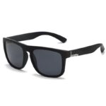 Black Frame Silver Label Gray Sheet (731)