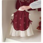 Girls' Chinese Style Tang Suit Dress Lightweight Summer First Birthday Princess Skirt - Image 3