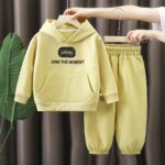 Children's Winter Warm Fleece Sweatshirt Set  Thickened Hooded Pullover & Sports Sweatpants Two-Piece Outfit for Girls & Babies - Image 3