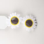 White sun flower