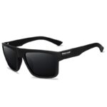 Black Frame Gray Sheet (732)