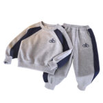 Boys' sweatshirt set, new spring sportswear set, foreign style splicing, children's sweatshirt and sweatpants, two-piece set of children's clothing - Image 5