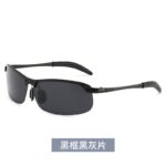 Black frame gray flakes [for exclusive use of the daytime]
