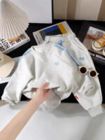 Korean Spring and Autumn New Children's Set 2026 Fashionable Sweatshirt Set for Boys and Girls, Children's Spring Sports Children's Wear - Image 5