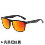 Black Frame Silver Label Red Plate (731)