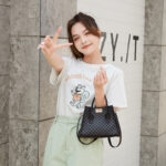 New Fashion Handbag 2023 Women Bag Southeast Asia Cheap Women's Bag Vintage Platinum Bag Printed Bag - Image 3